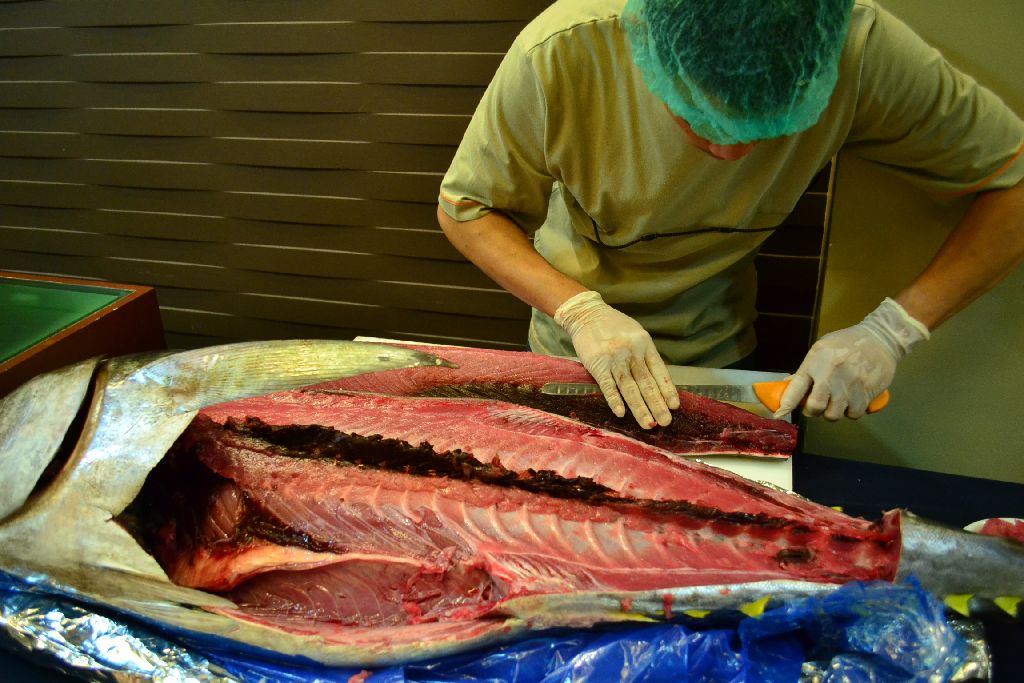 General Santos City: The Best Tuna Capital of the World