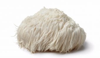 Lion's Mane Mushroom